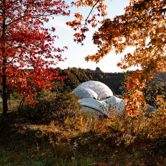 Wide shot of the Biomes in between red and orange Autumn trees